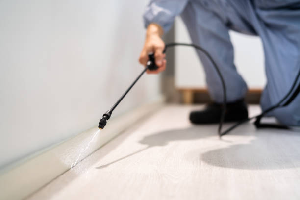 Bed Bug Pre-Treatment Preparation Assessment in Susan Moore